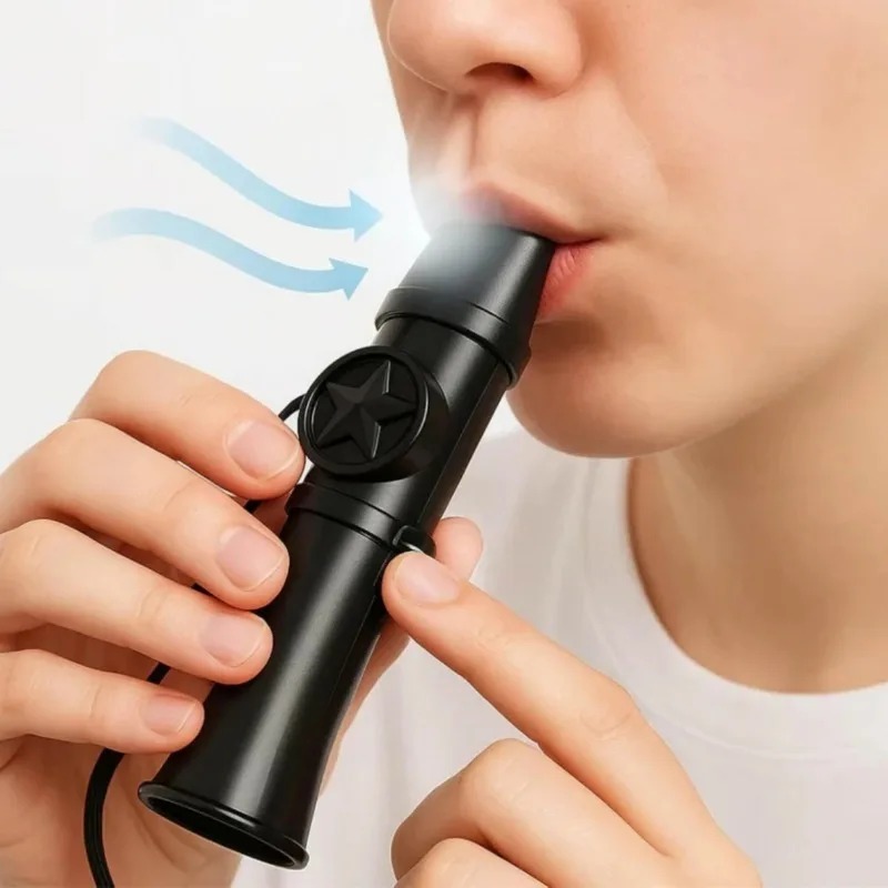 Musical Instrument Lute - Kazoo Flute Instrument No Membrane Great