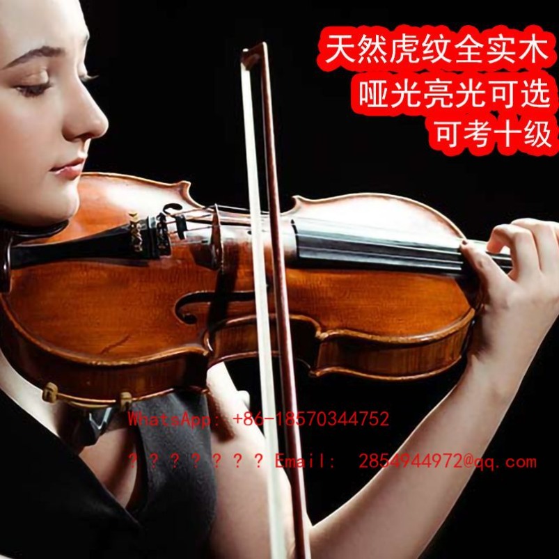 Musical Instrument Net - Professional Playing Grade Violin Musical Instrument