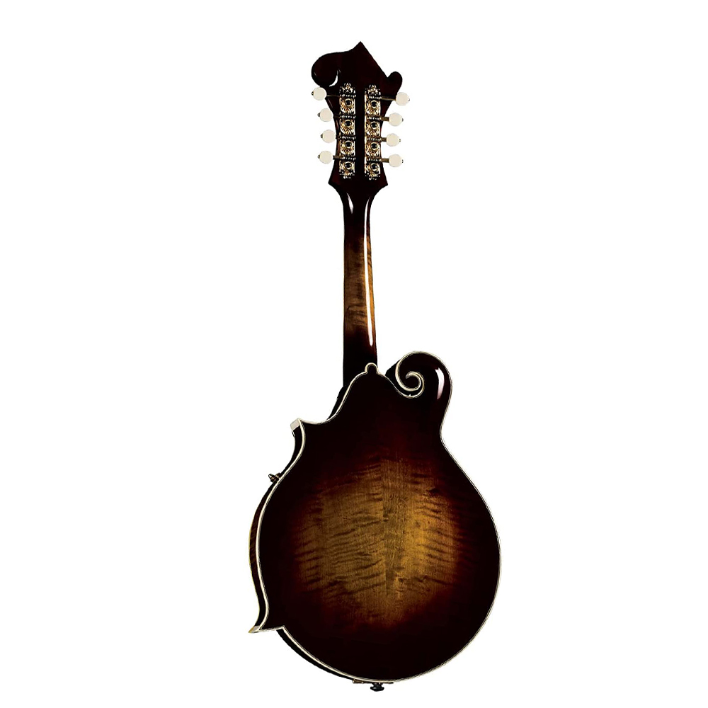 Acoustic Musical  Instrument M - Mandolin A Style review and price