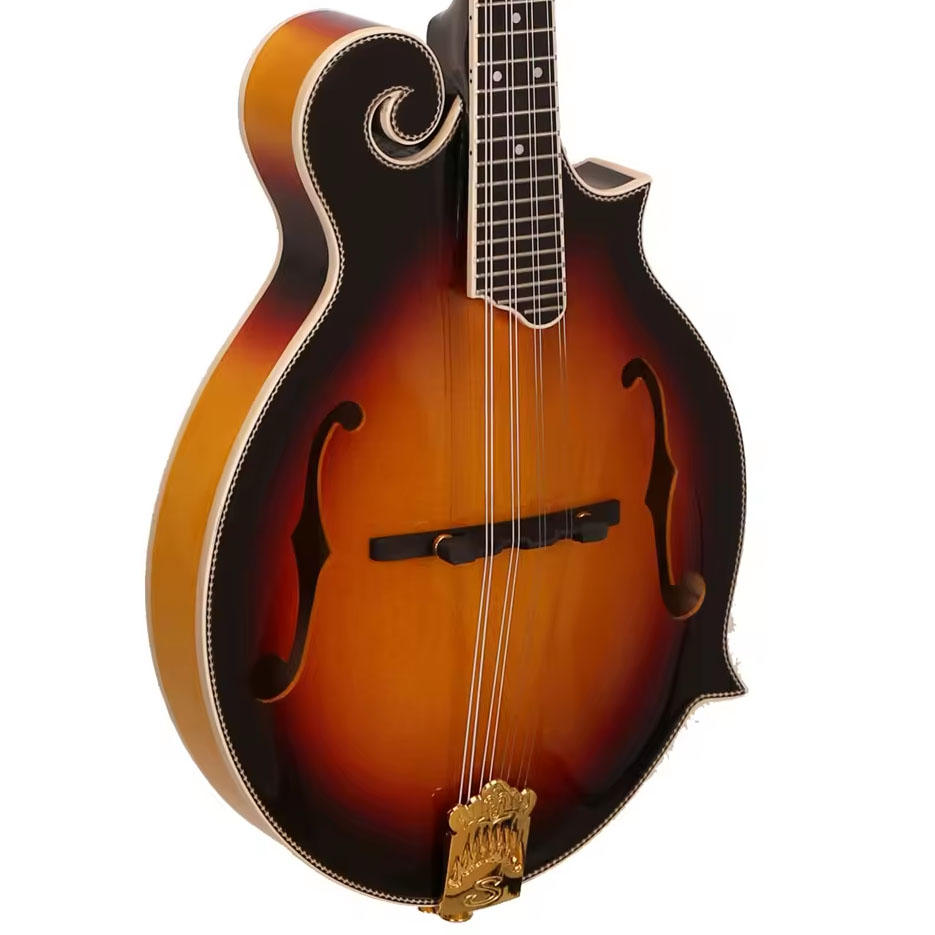 8-String Mandolin, SUNBURST Gl - Mandolin A Style review and price
