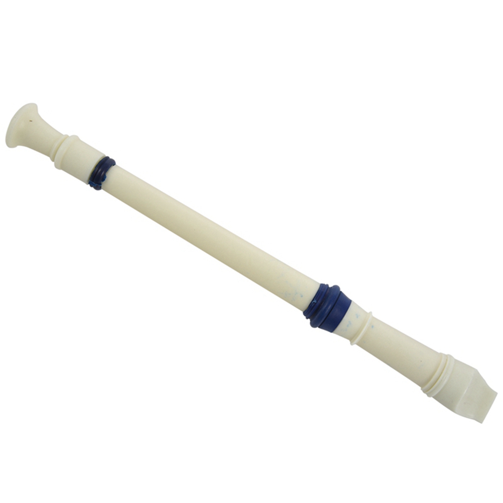 FSTE-2X Music Instrument 6 Hol - Musical Instrument A Recorder review and price