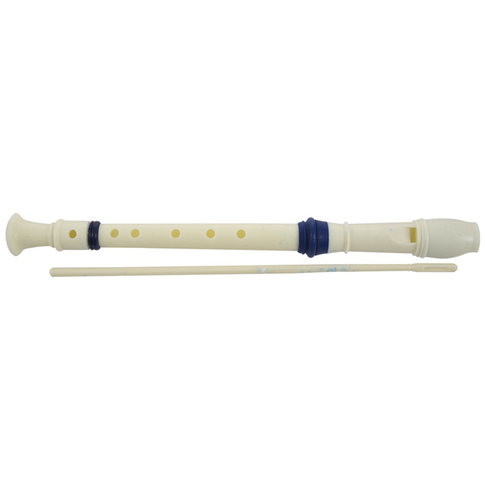 FSTE-2X Music Instrument 6 Hol - Musical Instrument A Recorder review and price