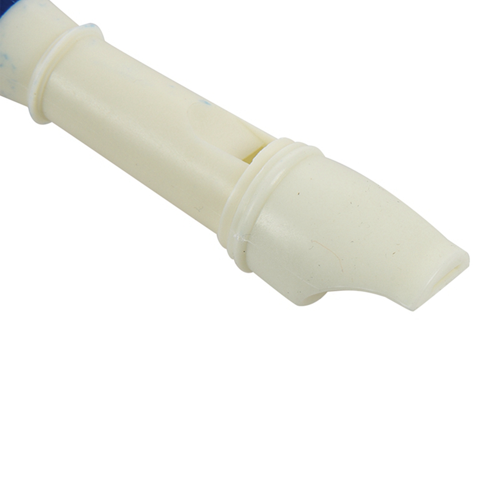 FSTE-2X Music Instrument 6 Hol - Musical Instrument A Recorder review and price