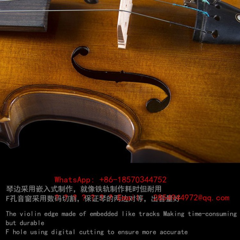 Professional Playing Grade Vio - Musical Instrument Net review and price