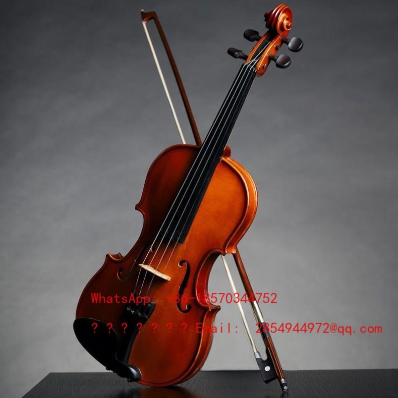 Professional Playing Grade Vio - Musical Instrument Net review and price