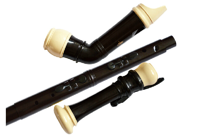 Professional 8 Holes Baroque B - Musical Instrument A Recorder review and price