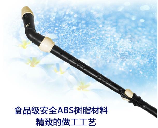 Professional 8 Holes Baroque B - Musical Instrument A Recorder review and price