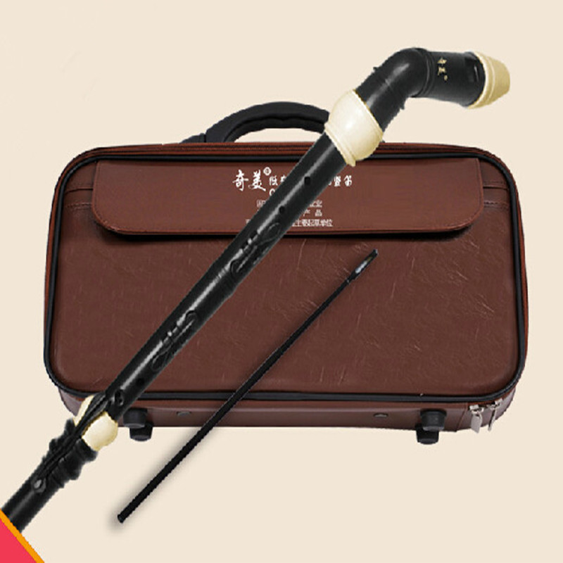 Professional 8 Holes Baroque B - Musical Instrument A Recorder review and price