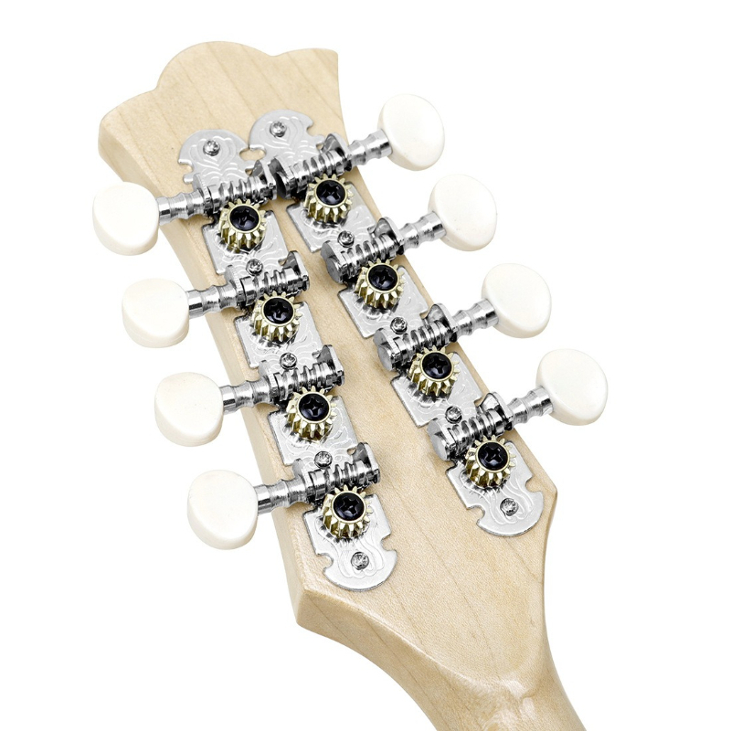 8 String Mandolin Professional - Mandolin A Style review and price