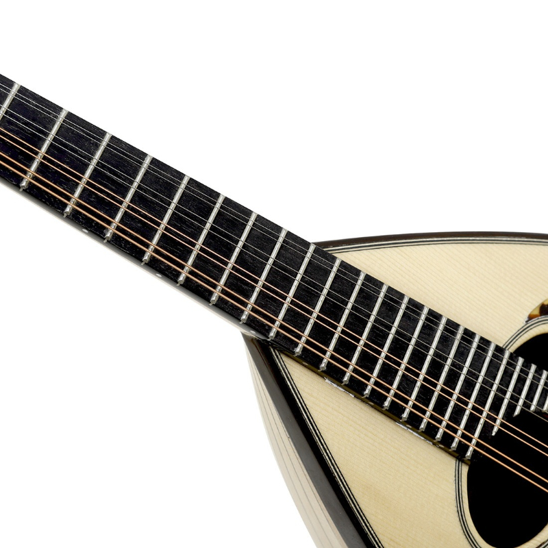 8 String Mandolin Professional - Mandolin A Style review and price