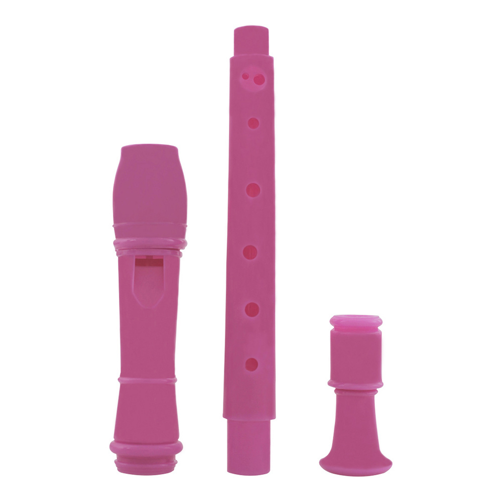IRIN 8 Hole Flute Clarinet ABS - Musical Instrument A Recorder review and price