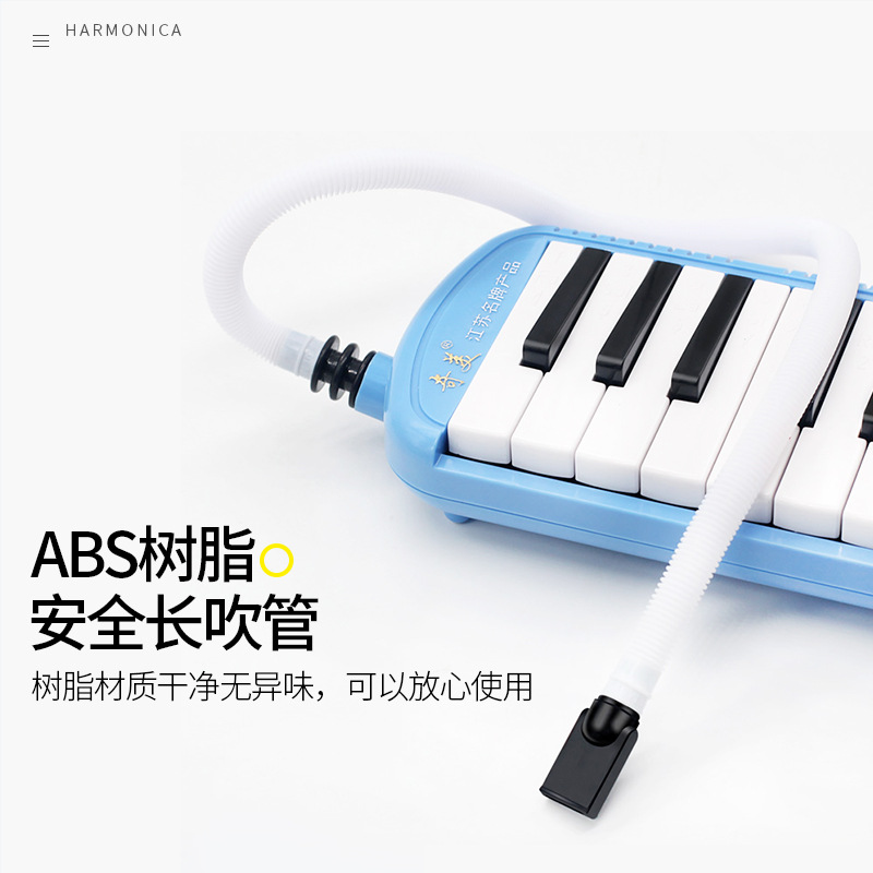 Melodica Mouthpiece Tube Set F - Melodica Keyboard Wind review and price
