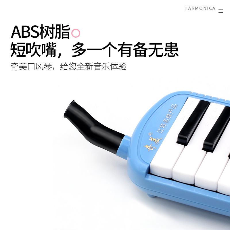 Melodica Mouthpiece Tube Set F - Melodica Keyboard Wind review and price