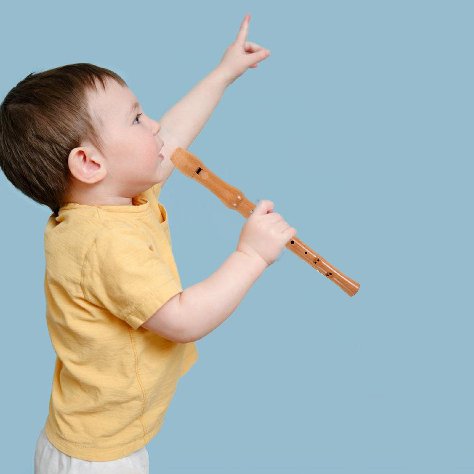 Soprano Recorder Wood Eight Ho - Musical Instrument A Recorder review and price