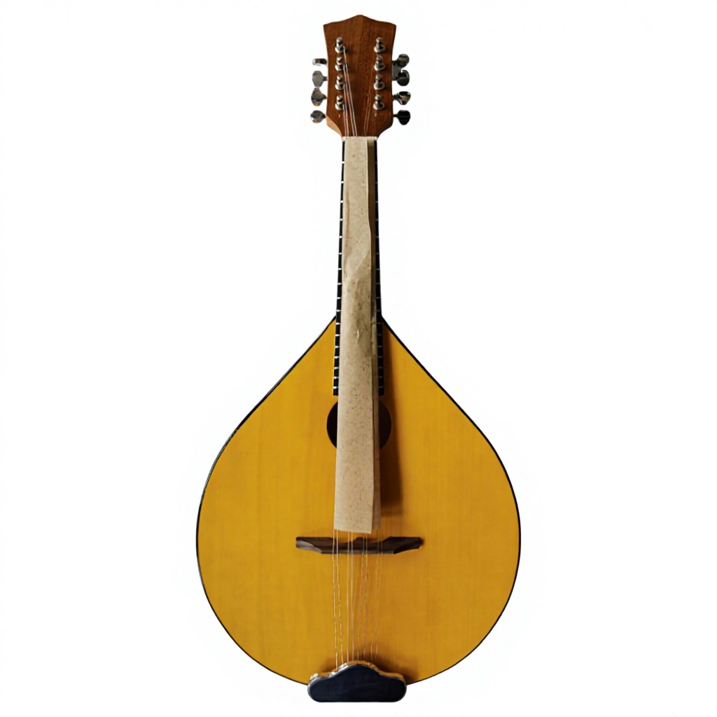 8-String Acoustic Banjo, Bassw - Mandolin A Style review and price